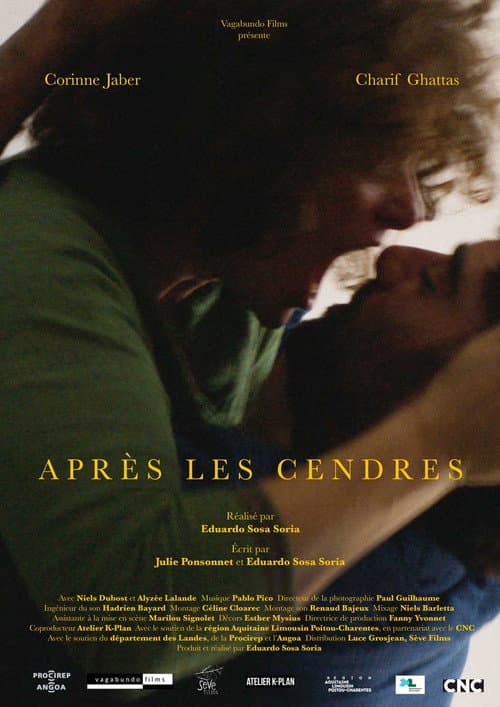 Постер: Après les cendres