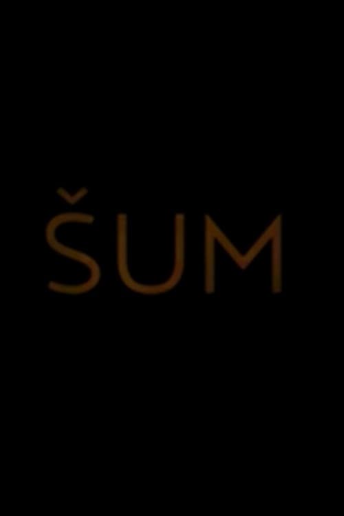 Постер: Šum