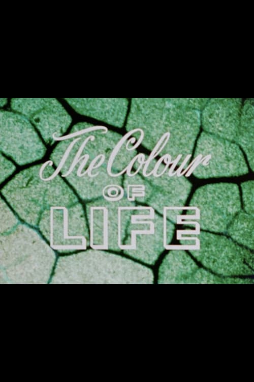 Постер: The Colour of Life