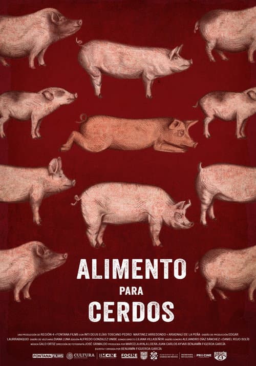 Постер: Alimento para cerdos