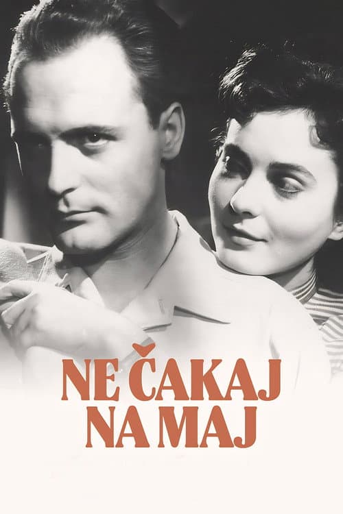Постер: Ne čakaj na maj
