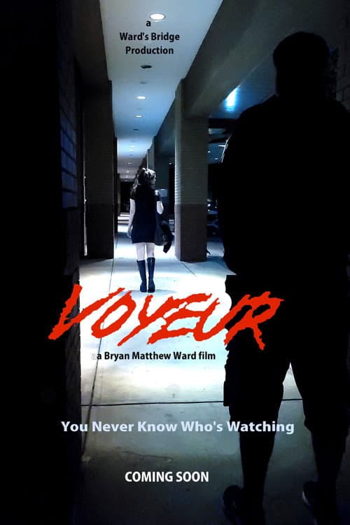 Постер: Voyeur