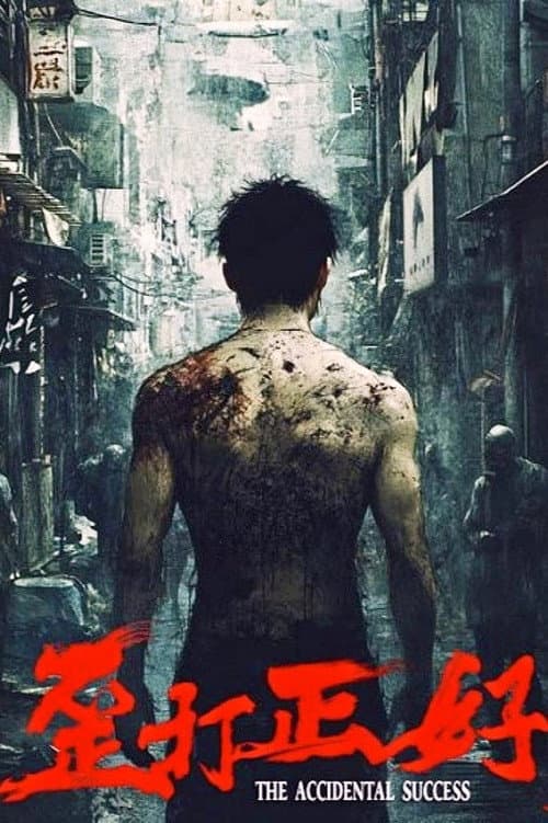 Постер: 歪打正好