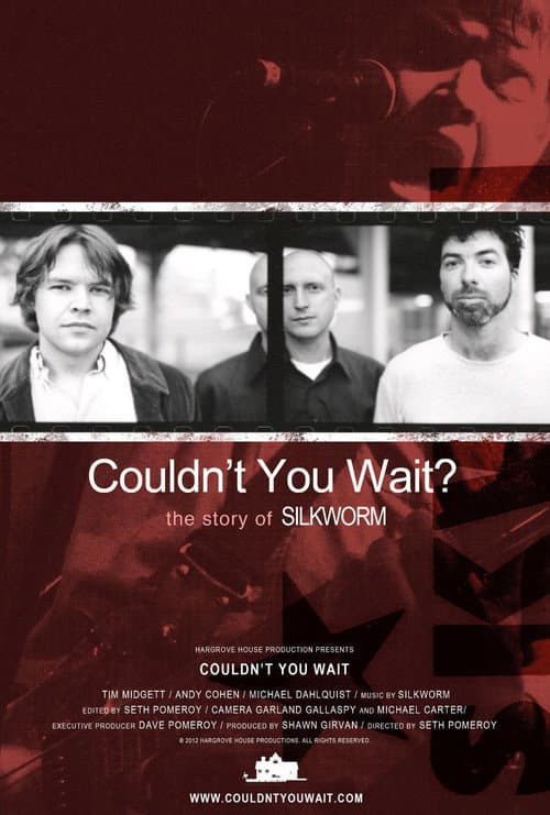 Постер: Couldn't You Wait?
