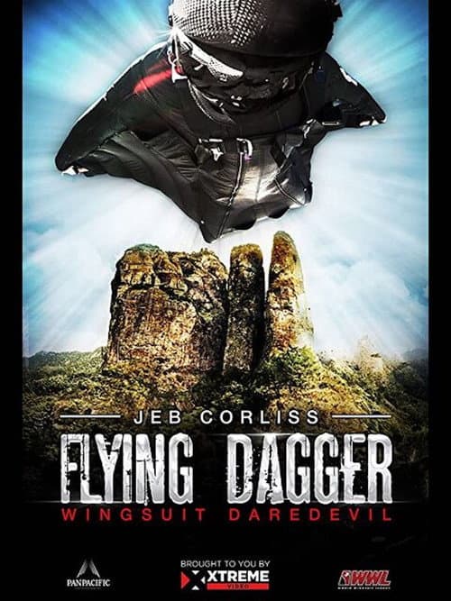 Постер: Flying Dagger