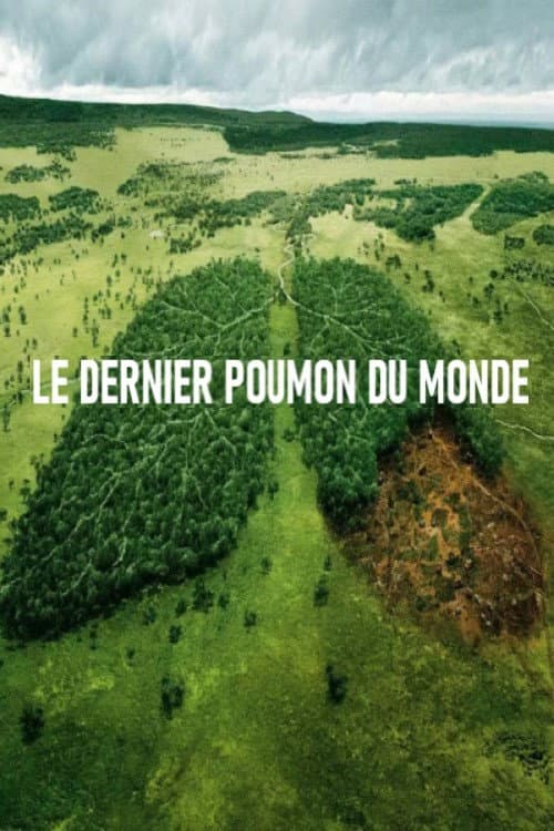 Постер: Le dernier poumon du monde