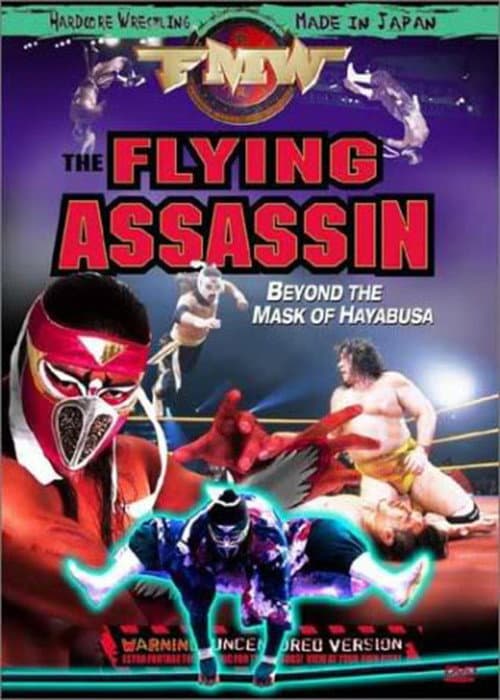 Постер: FMW Hayabusa- Flying Assassin