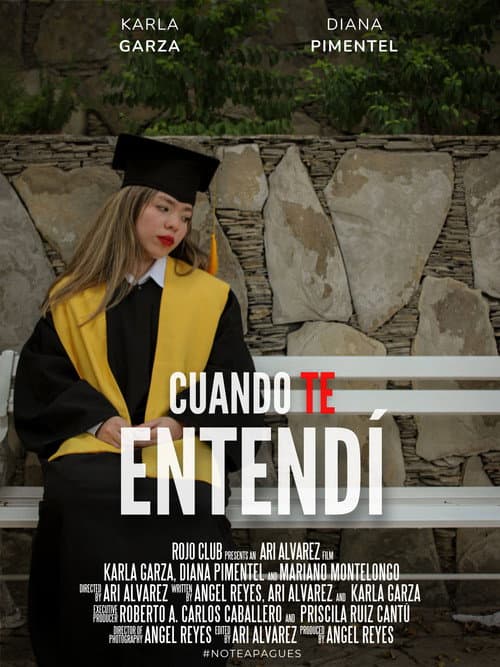 Постер: Cuando Te Entendí