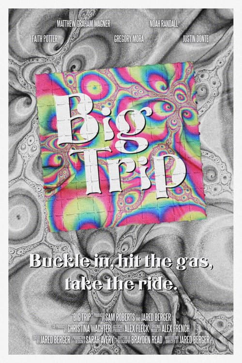 Постер: Big Trip