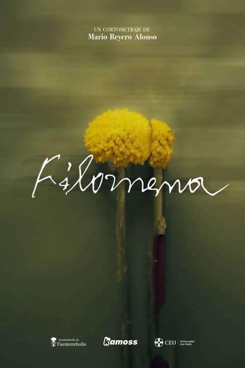 Постер: Filomena