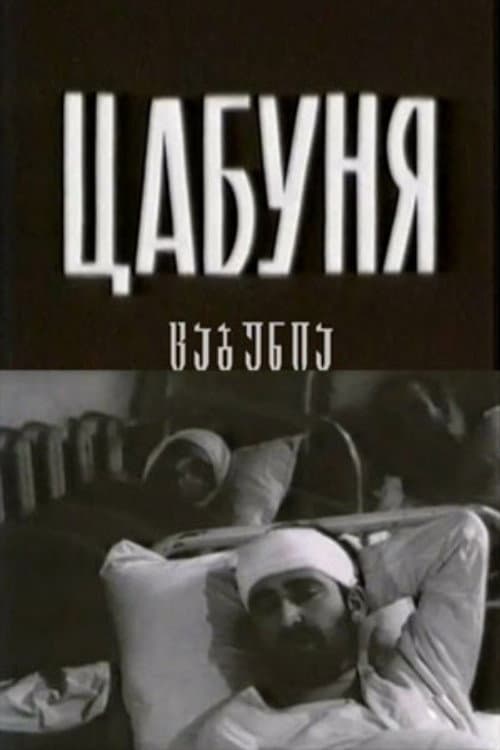 Постер: Цабуня