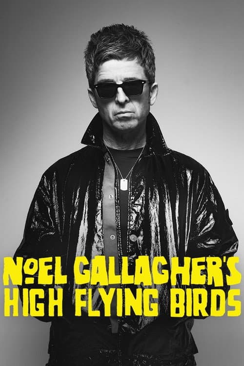 Постер: Noel Gallagher's High Flying Birds en concert au Zénith de Paris