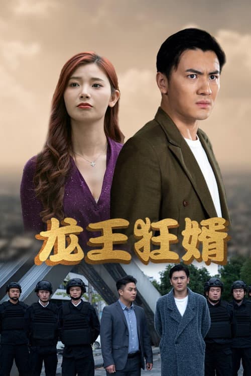 Постер: 龙王狂婿