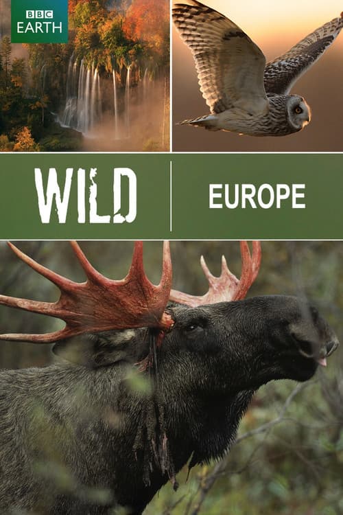 Постер: Wild Europe