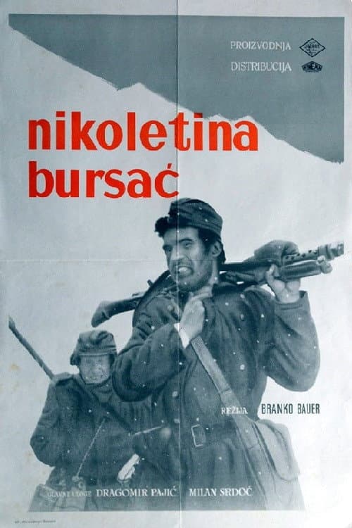 Постер: Nikoletina Bursać