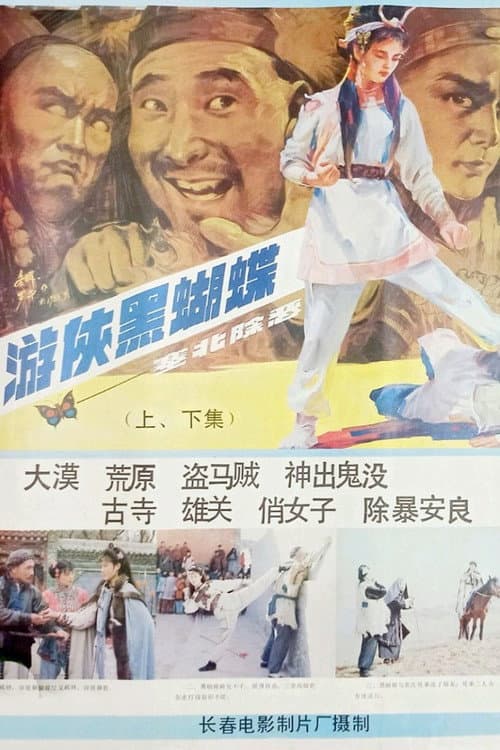Постер: 游侠黑蝴蝶