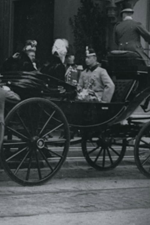 Постер: Intocht van hertog Hendrik van Mecklenburg en H.M. de koningin aan het Staatsspoor te 's-Gravenhage