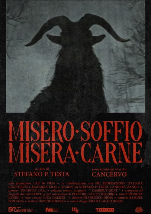 Постер: Misero Soffio Misera Carne