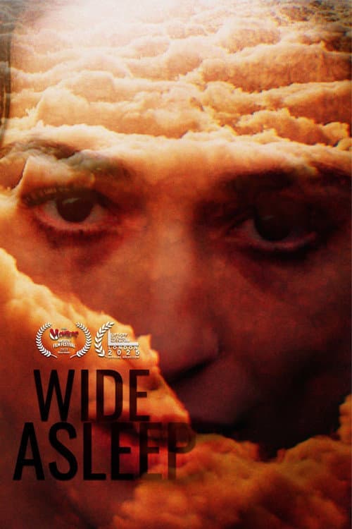 Постер: Wide Asleep