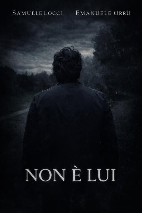Постер: Non è lui