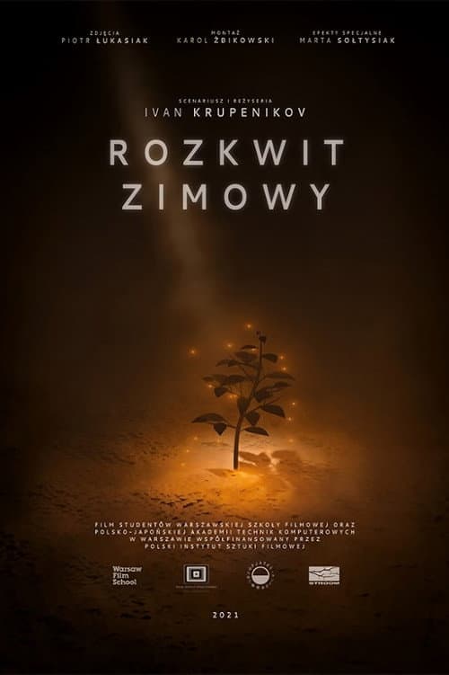 Постер: Rozkwit zimowy
