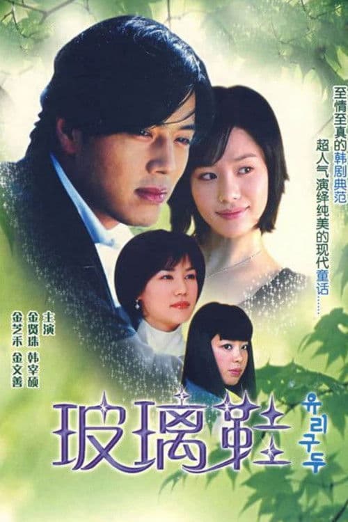 Постер: 유리구두