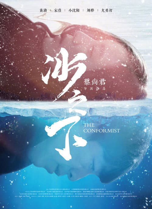 Постер: 冰之下
