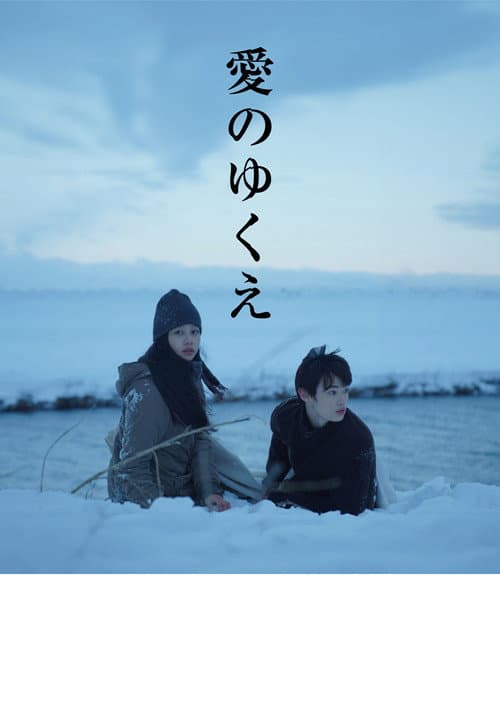 Постер: 愛のゆくえ