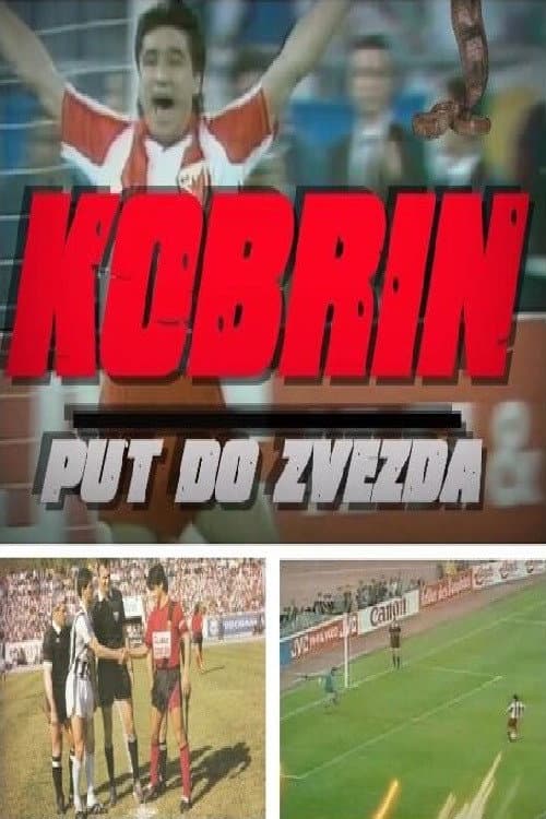 Постер: Kobrin put do zvezda