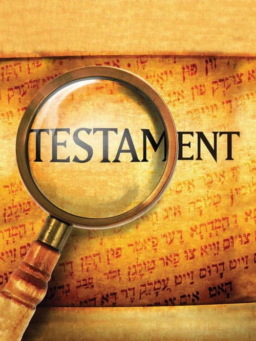 Постер: Testament