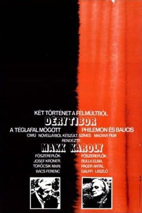 Постер: Két történet a félmúltból
