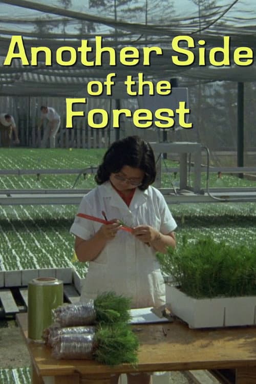 Постер: Another Side of the Forest