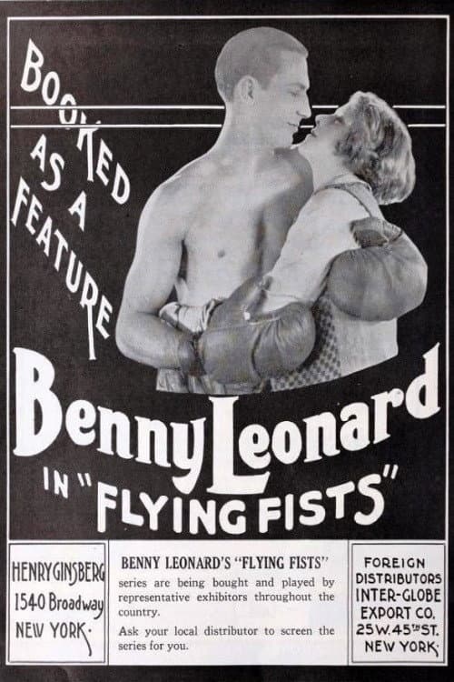 Постер: Flying Fists