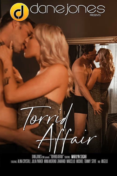 Постер: Torrid Affair