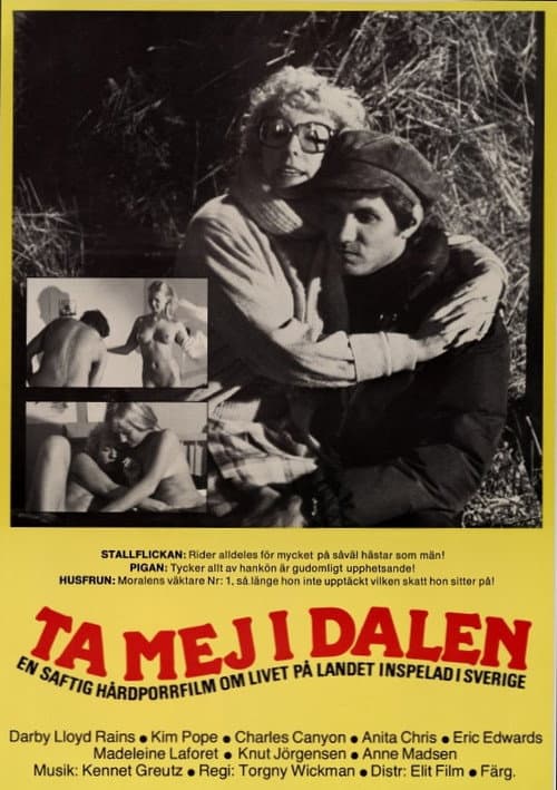 Постер: Ta mej i dalen