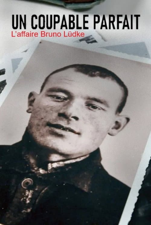 Постер: Die Erfindung eines Mörders – Der Fall Bruno Lüdke