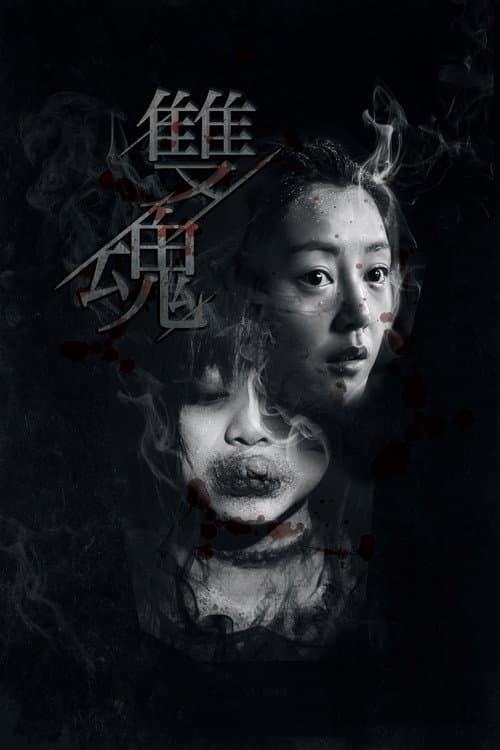 Постер: 雙魂