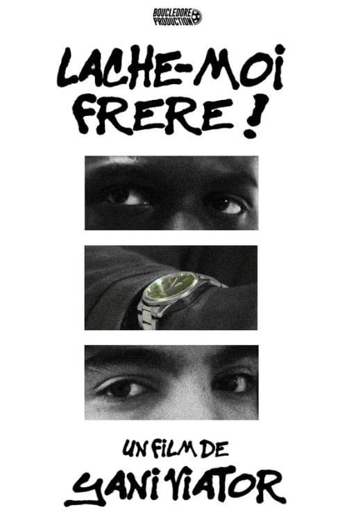 Постер: LÂCHE-MOI FRÈRE !