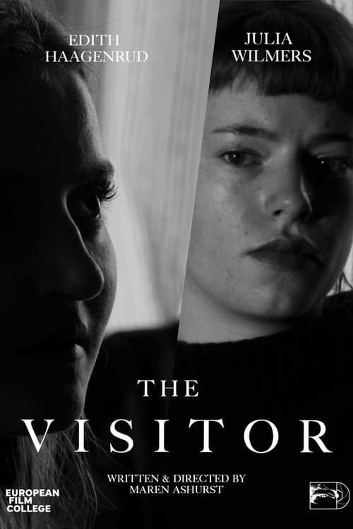 Постер: The Visitor