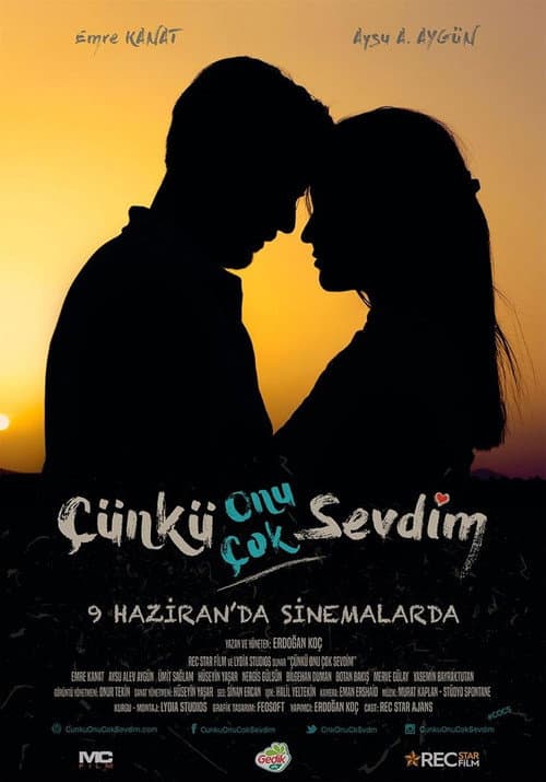 Постер: Çünkü Onu Çok Sevdim