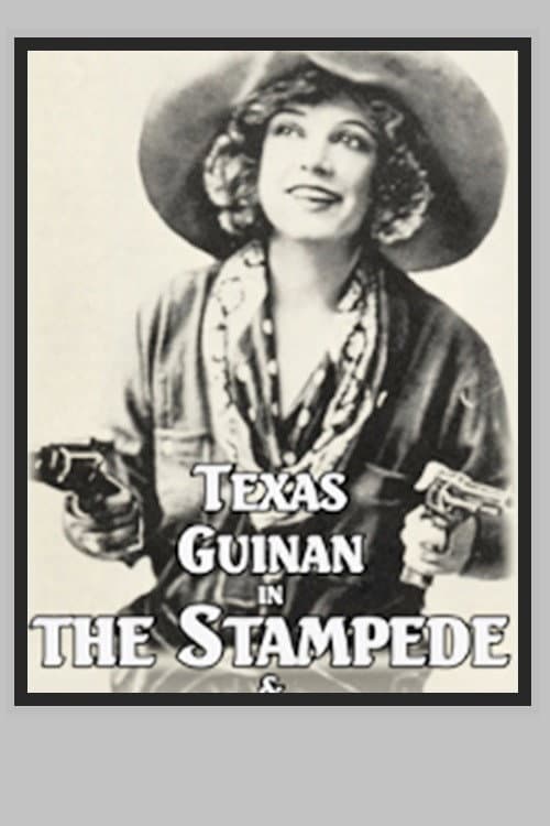 Постер: The Stampede