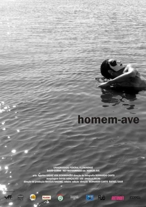 Постер: Homem-Ave