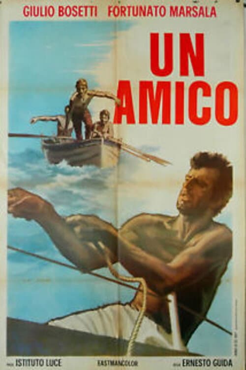 Постер: Un amico