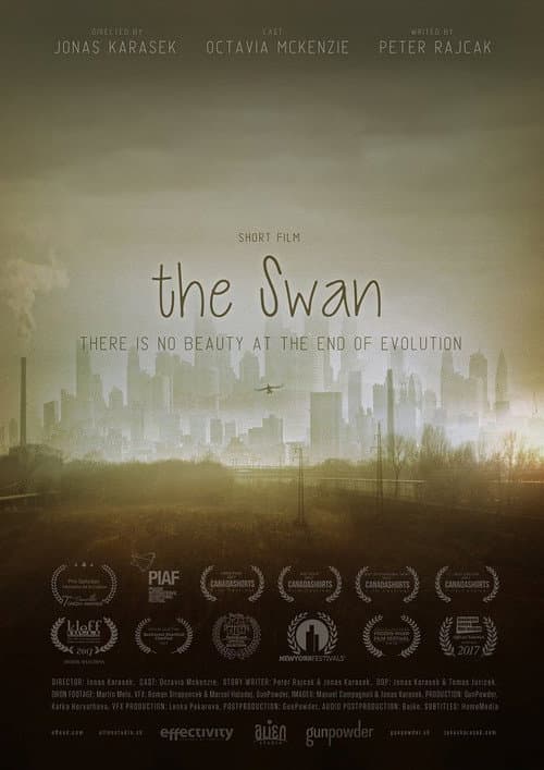 Постер: The Swan