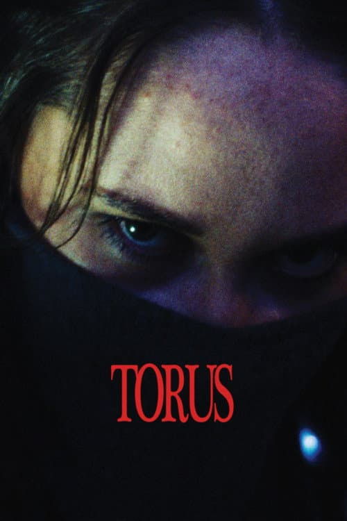 Постер: Torus