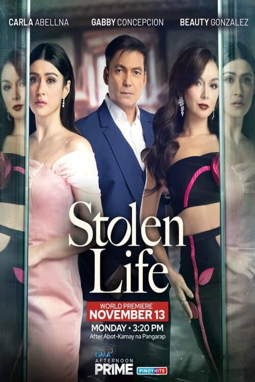 Постер: Stolen Life