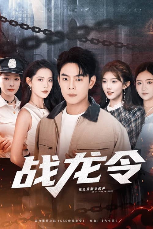 Постер: 战龙令