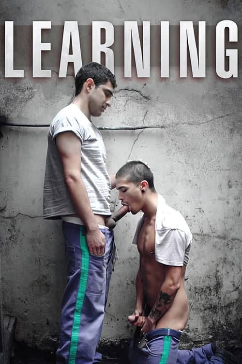Постер: Learning