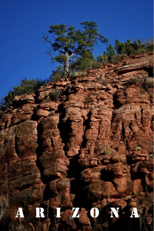 Постер: Arizona