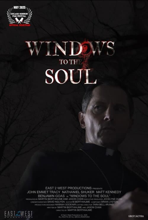 Постер: Windows to the Soul